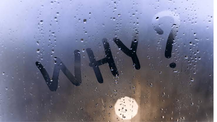 Why Courts Recommend Professional Addiction Treatment Drug Rehabs Seattle Accepting First Choice Health